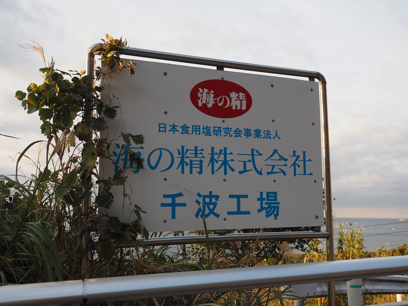 PB160526.jpg