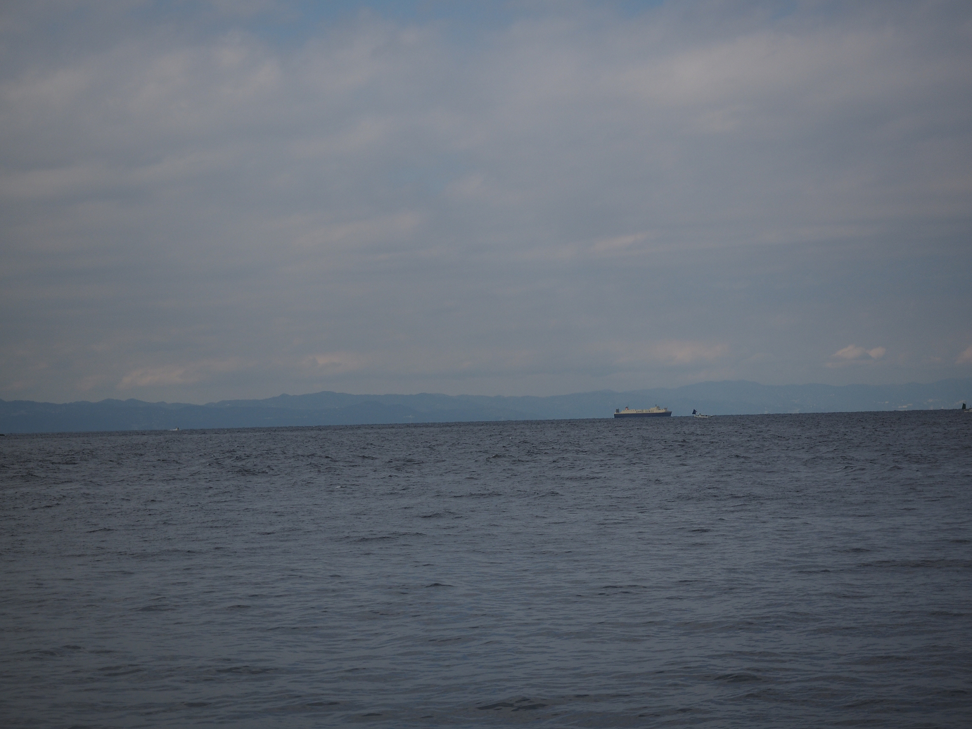 PB160567.jpg