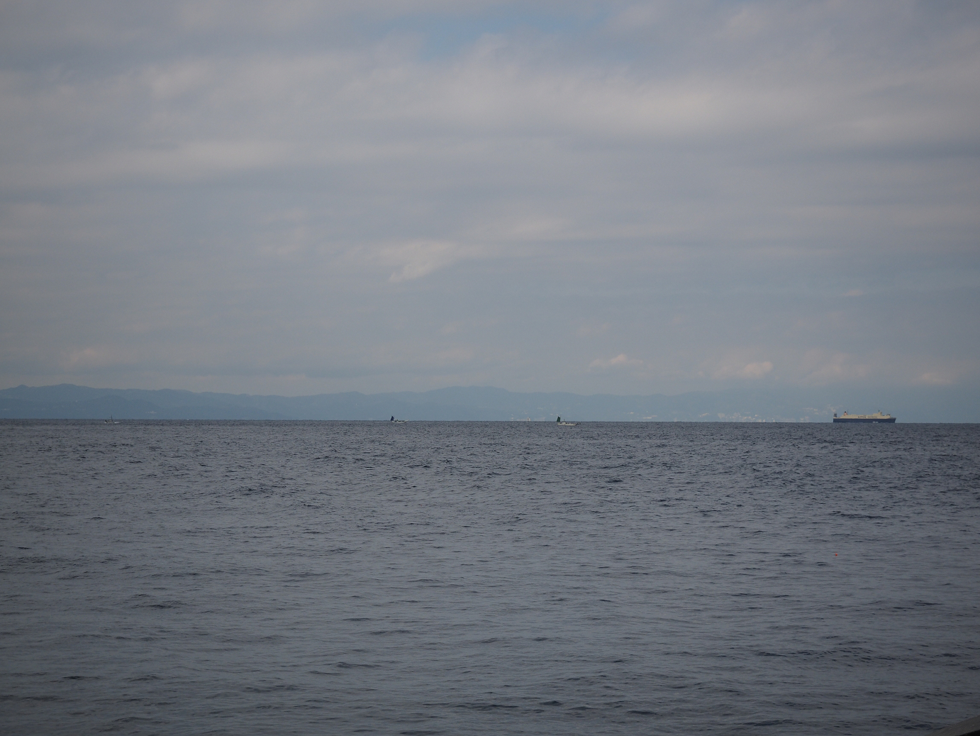 PB160573.jpg