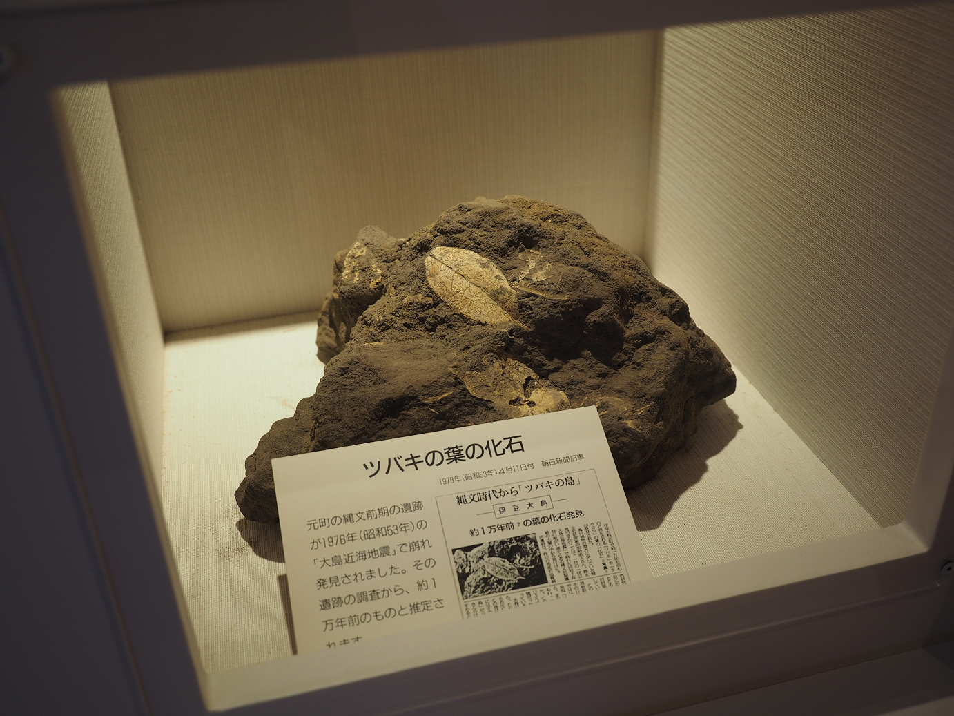 PB160581.jpg