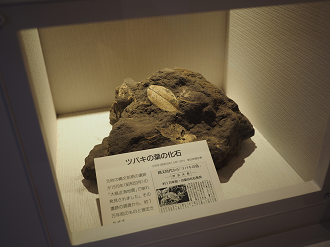 PB160581_thumb.png