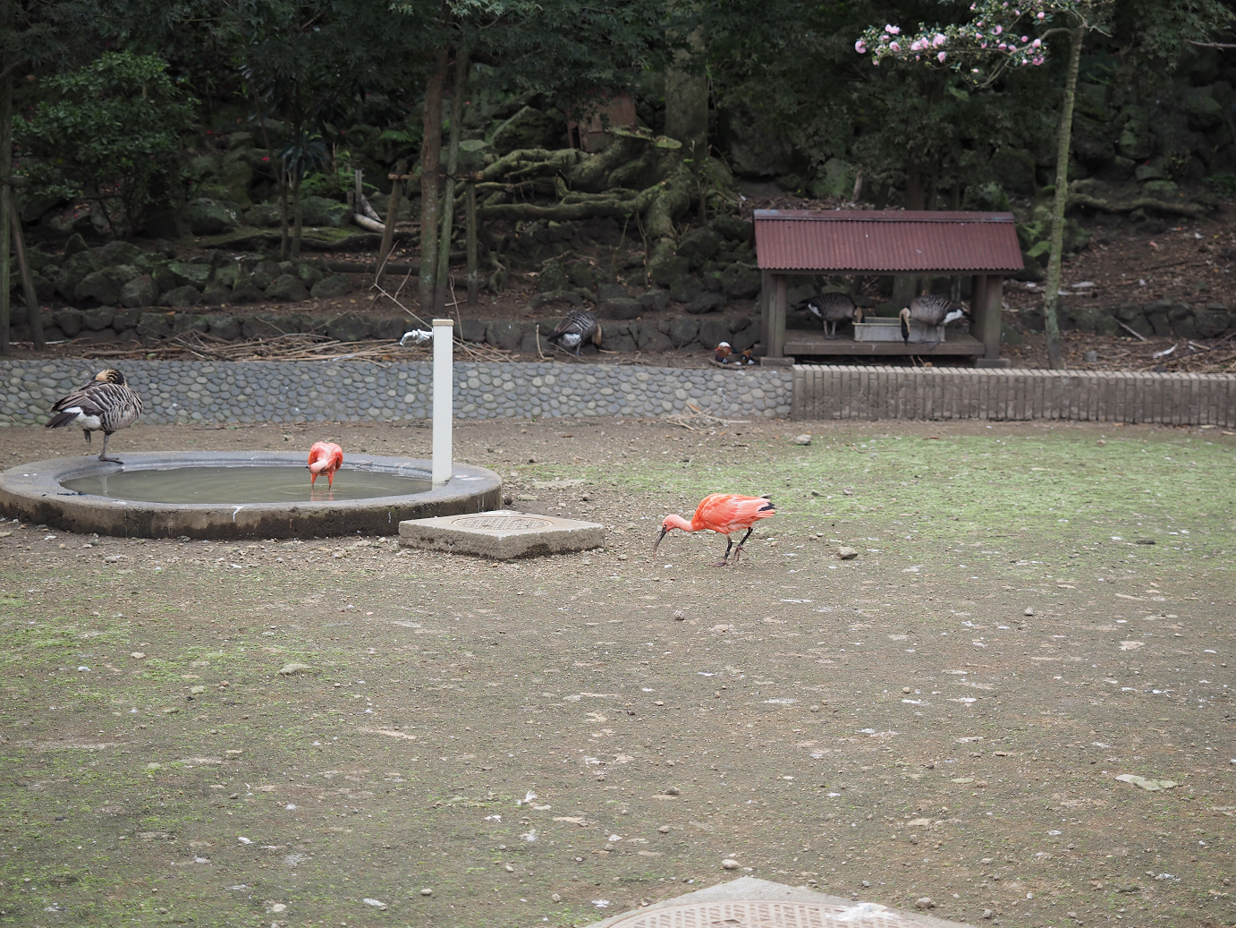 PB160602.jpg
