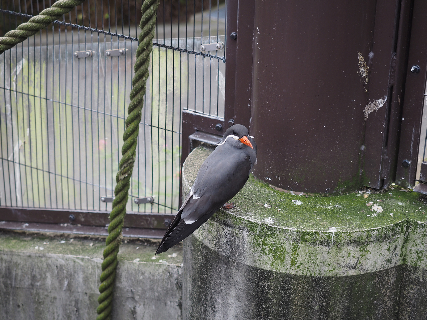 PB160632.jpg
