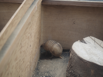 PB160660_thumb.png