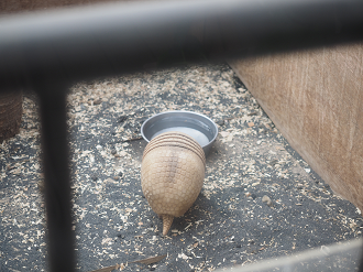 PB160662_thumb.png