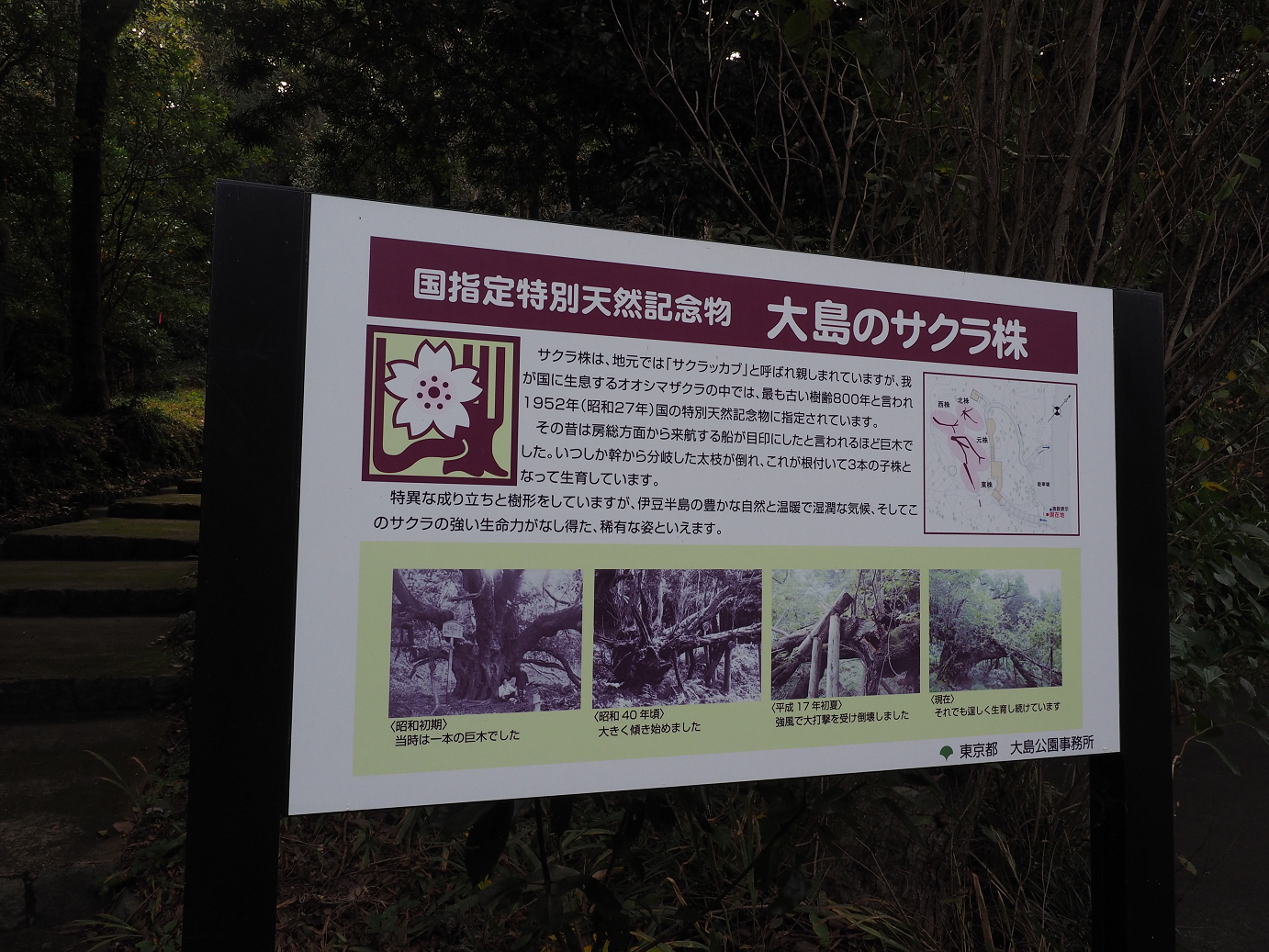 PB160718.jpg