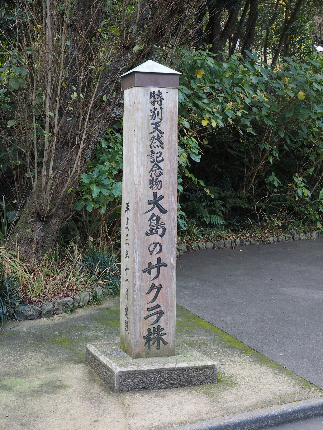 PB160720.jpg