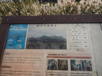 PB160744_thumb.png