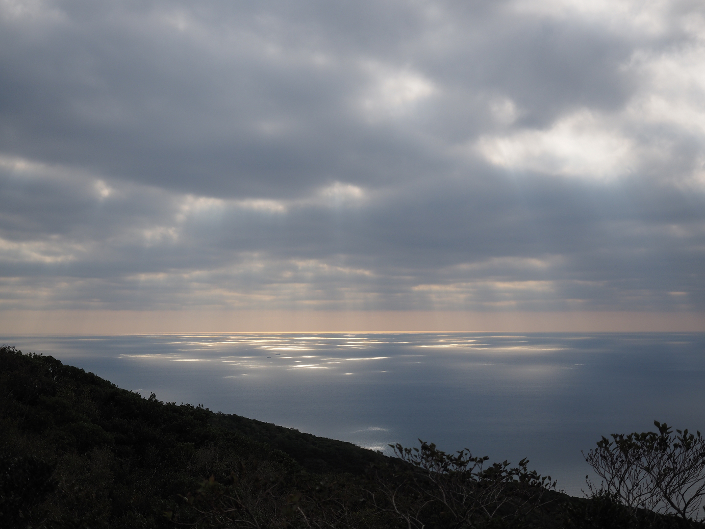 PB160745.jpg