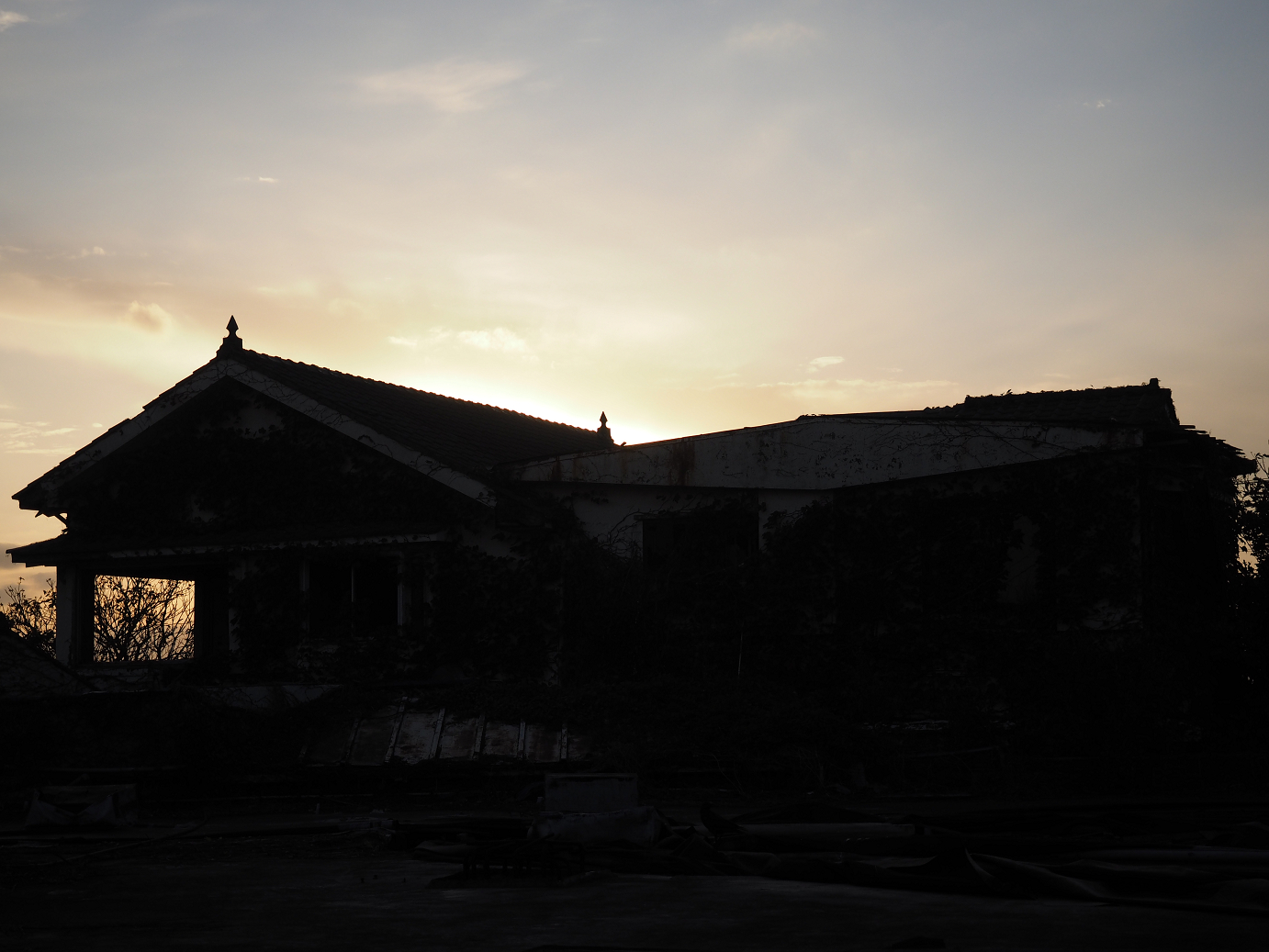 PB160857.jpg