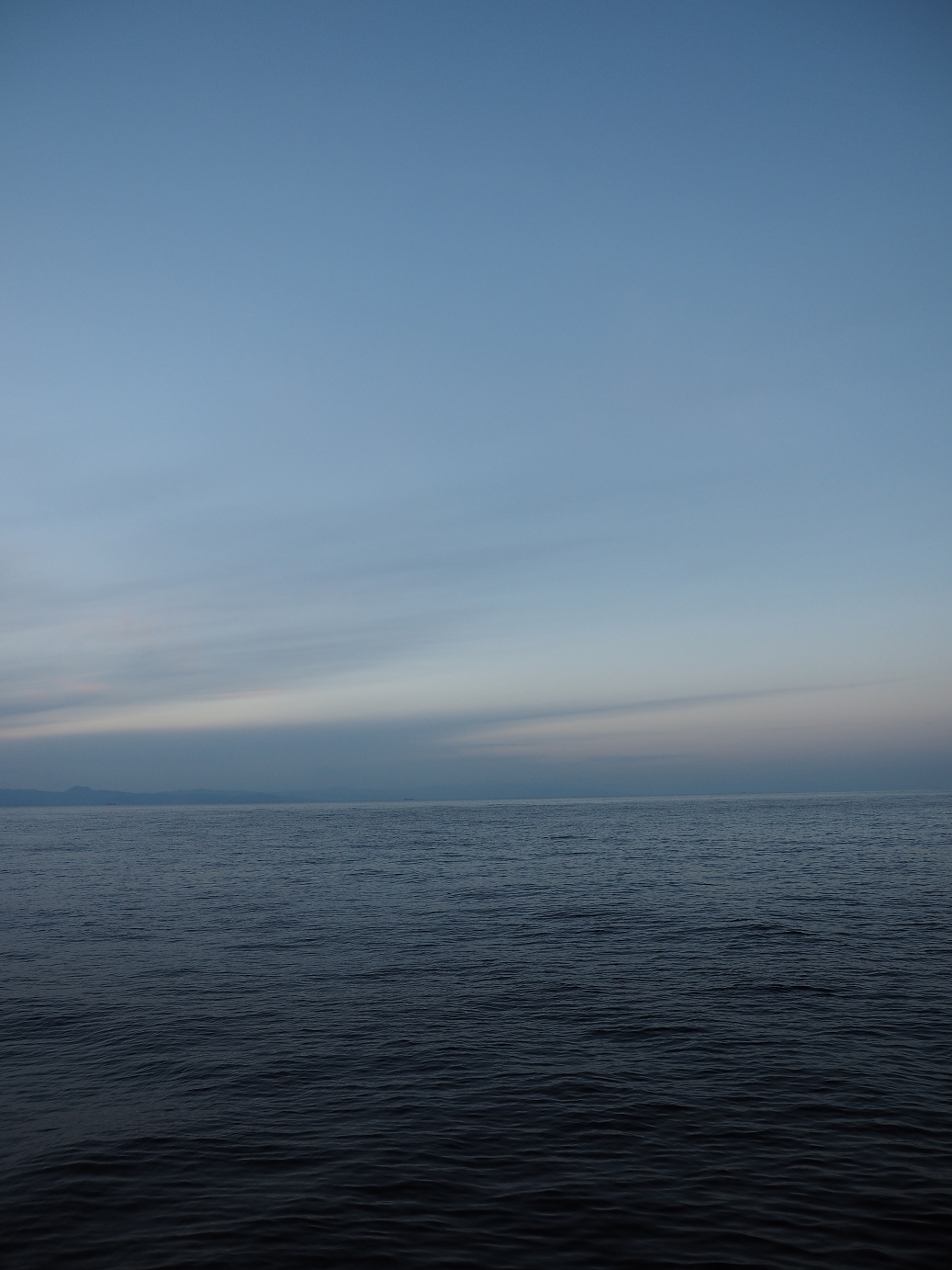 PB160865.jpg