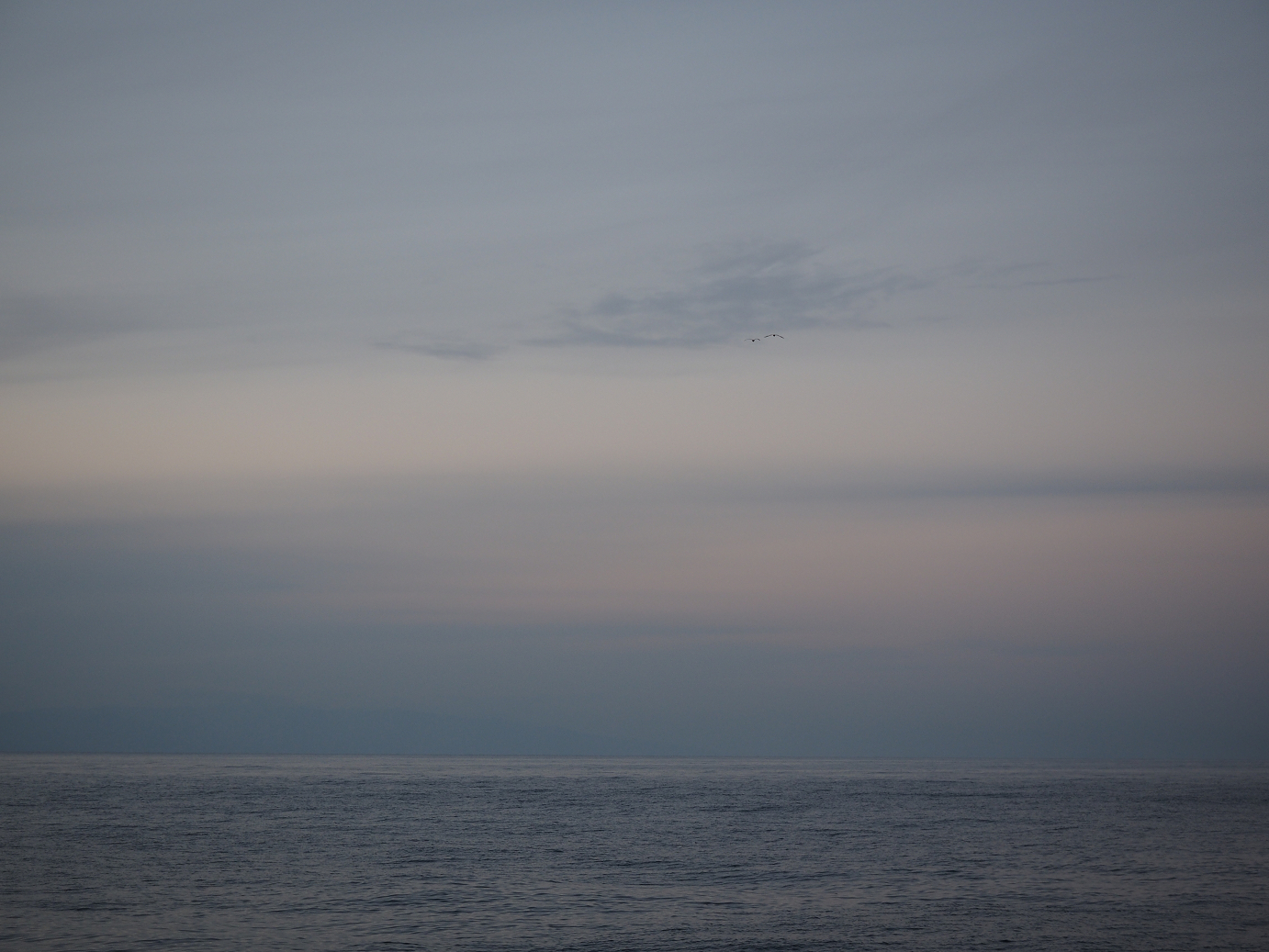 PB160890.jpg
