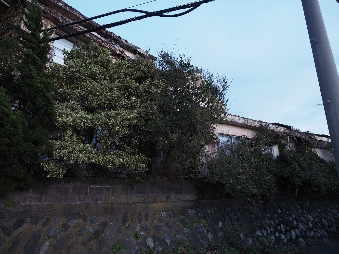 PB160901.jpg