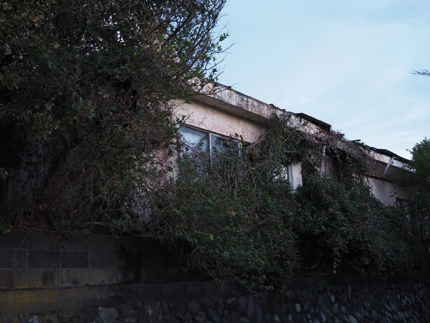 PB160902.jpg