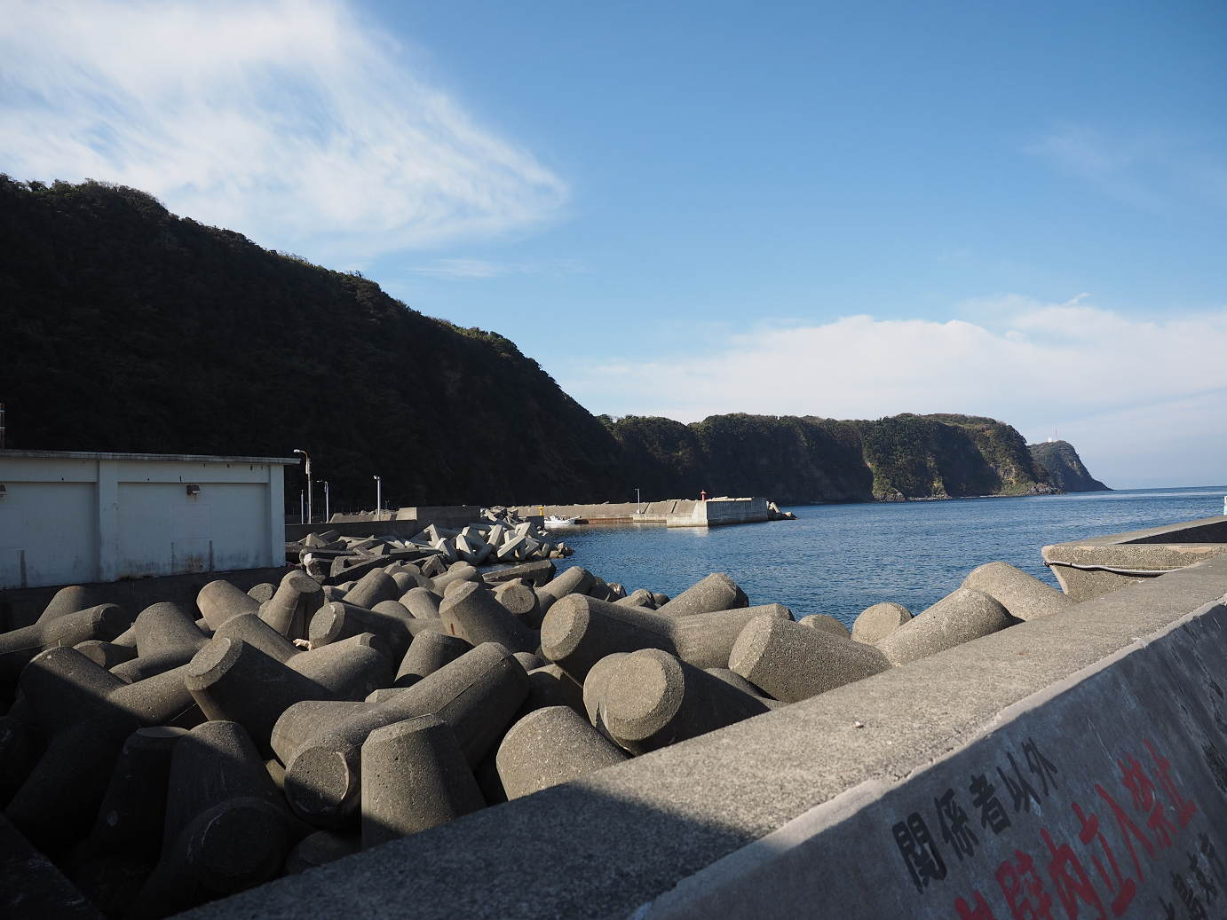PB170949.jpg