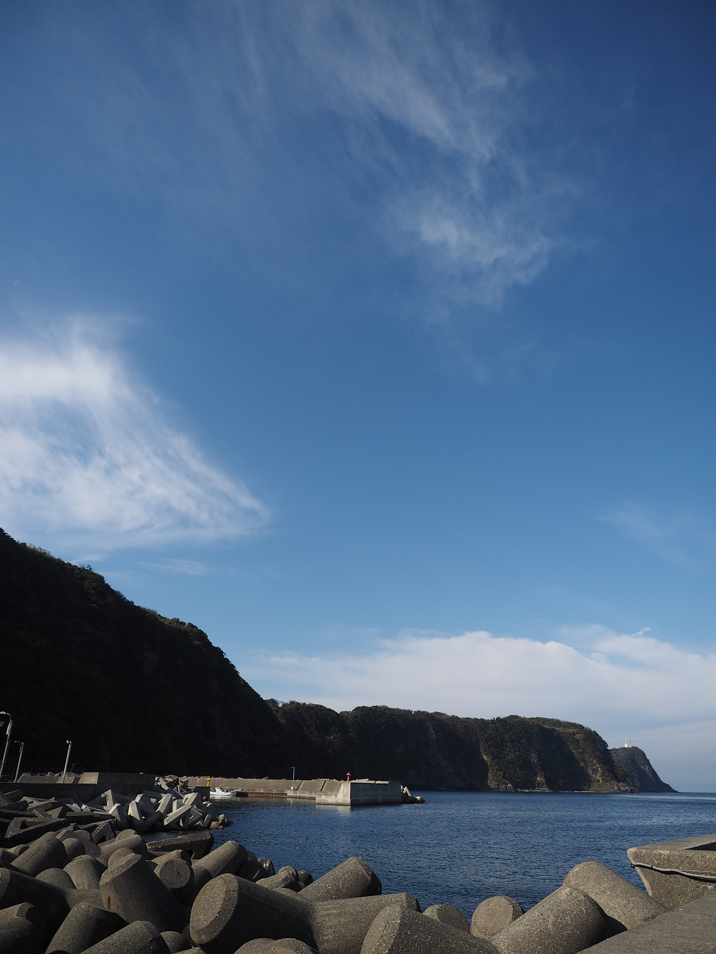 PB170951.jpg