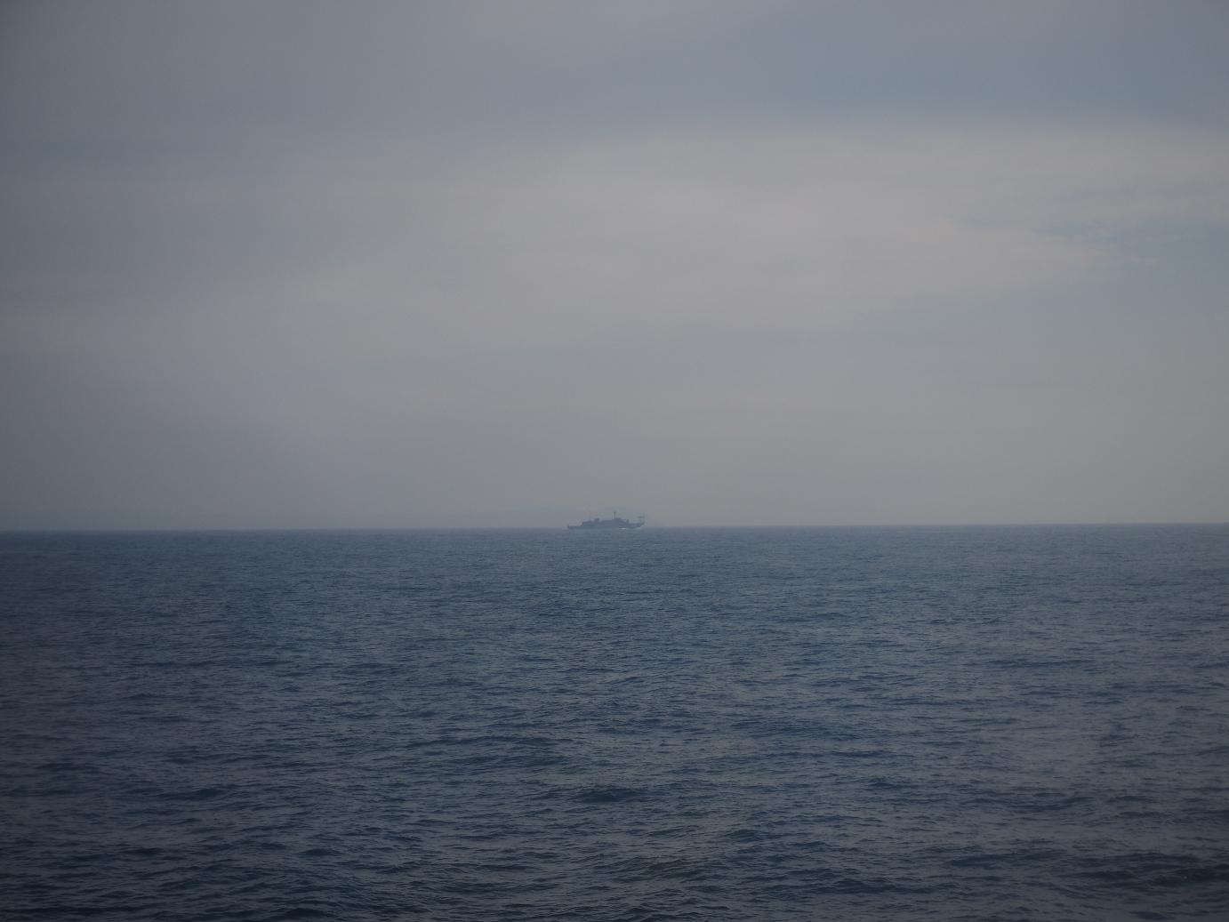 PB170996.jpg