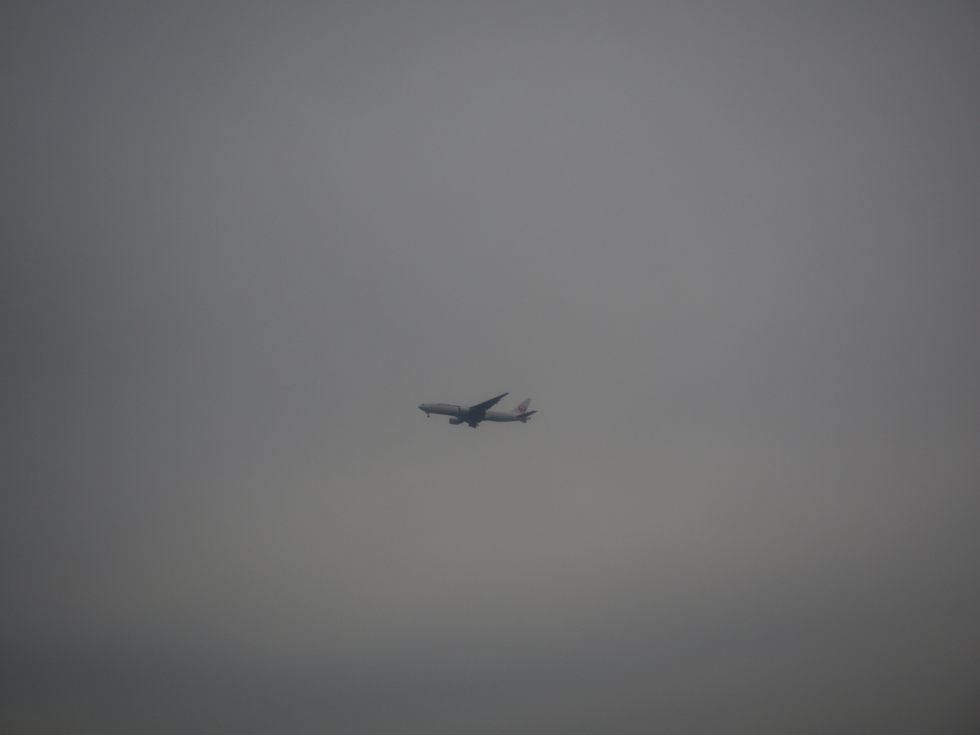 PB171032.jpg