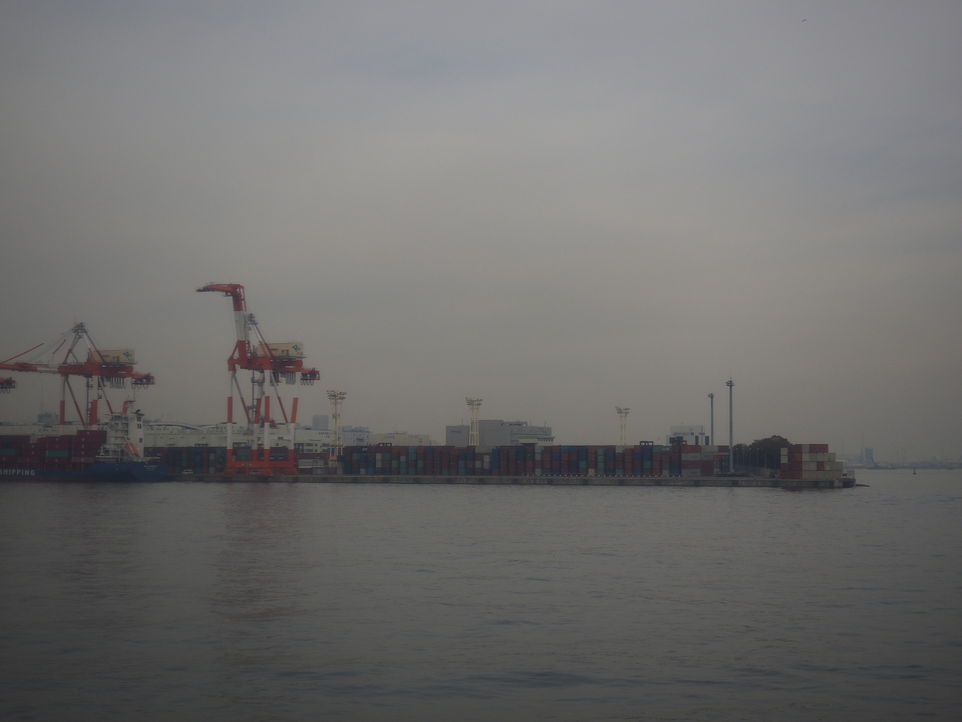 PB171051.jpg