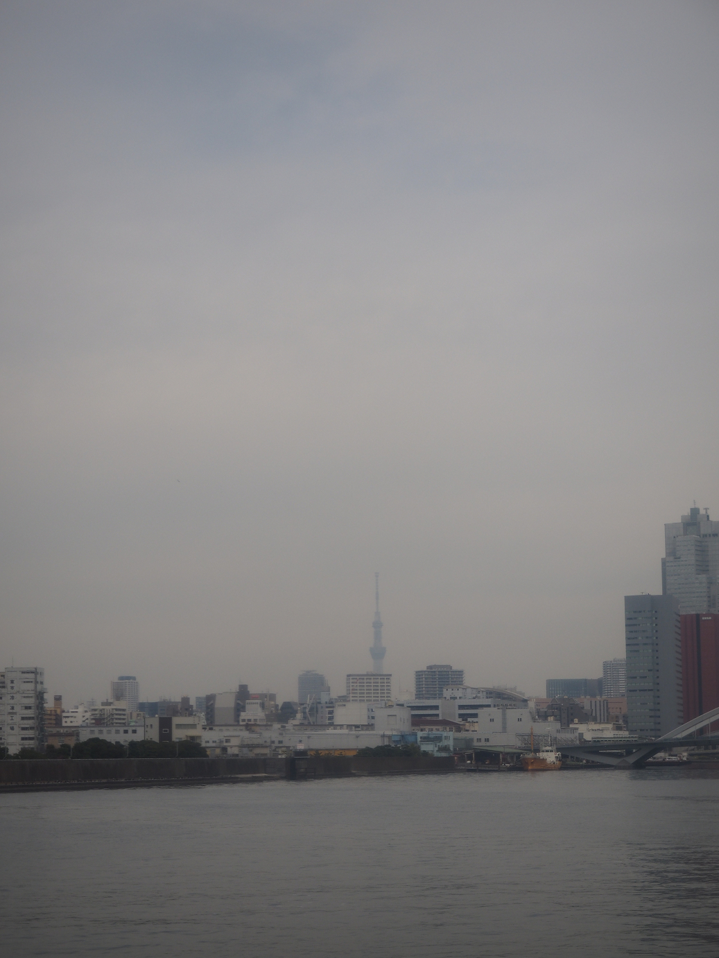 PB171073.jpg