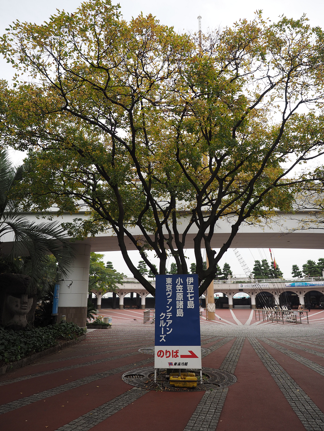 PB171074.jpg