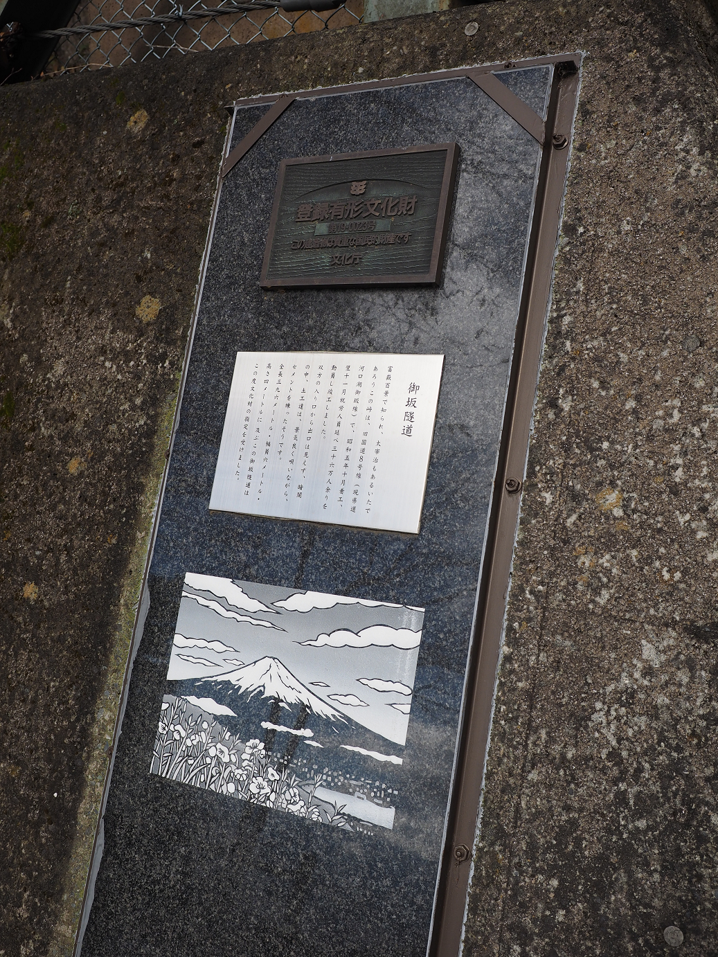 PB210229.jpg