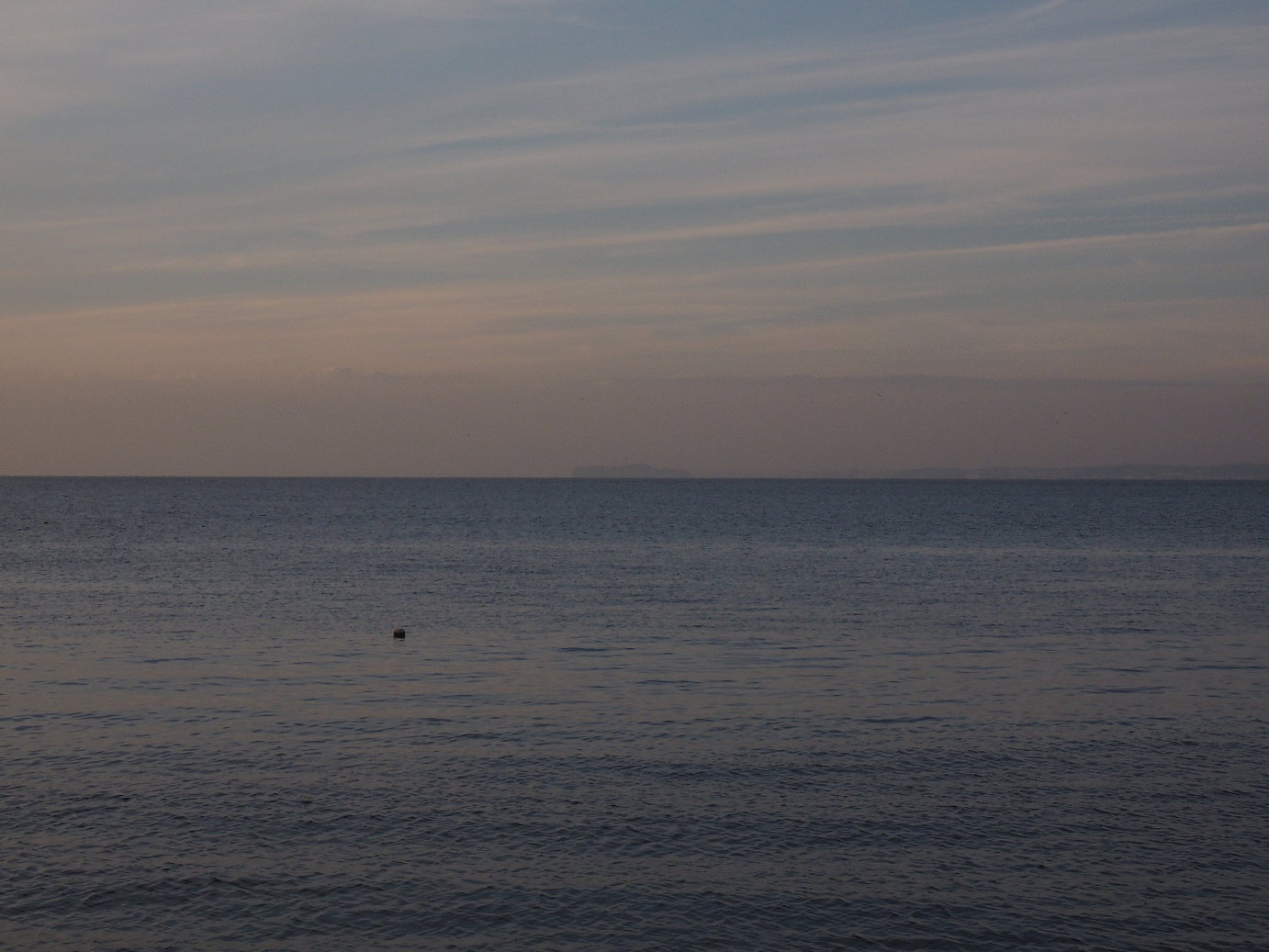 PB210324.jpg
