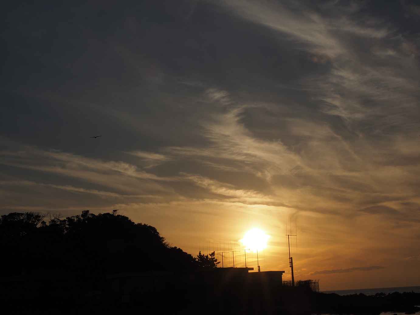 PB210356.jpg