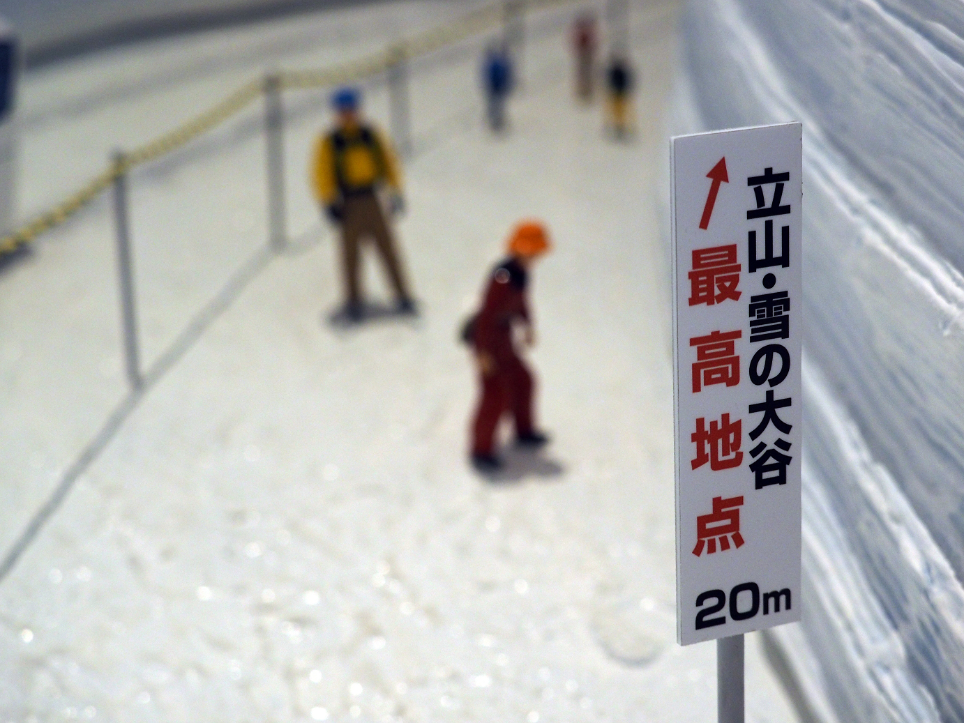 P1170198.jpg