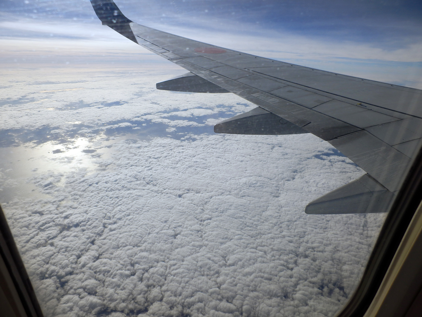 P1180030.jpg