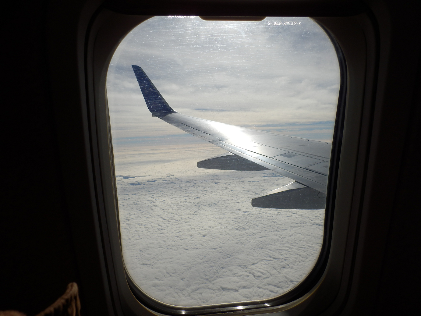 P1180032.jpg