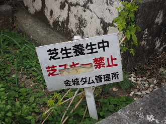 P1180060_thumb.png