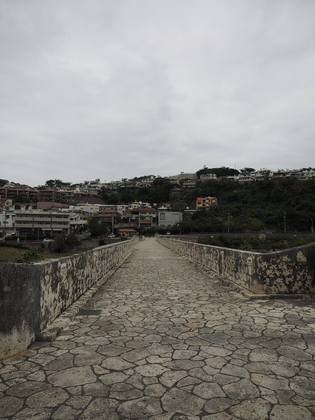 P1180065.jpg
