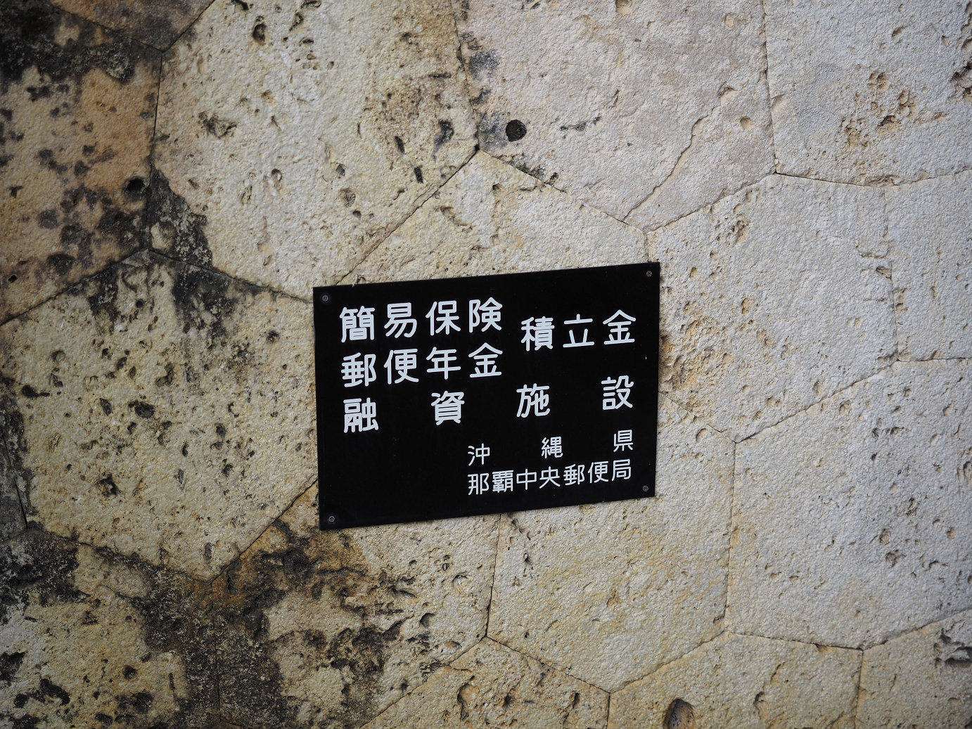P1180076.jpg