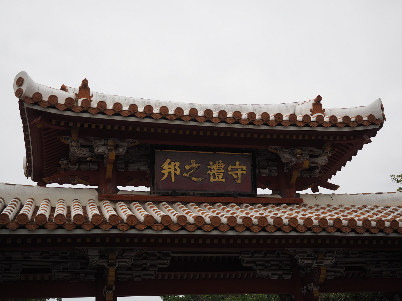 P1180078.jpg