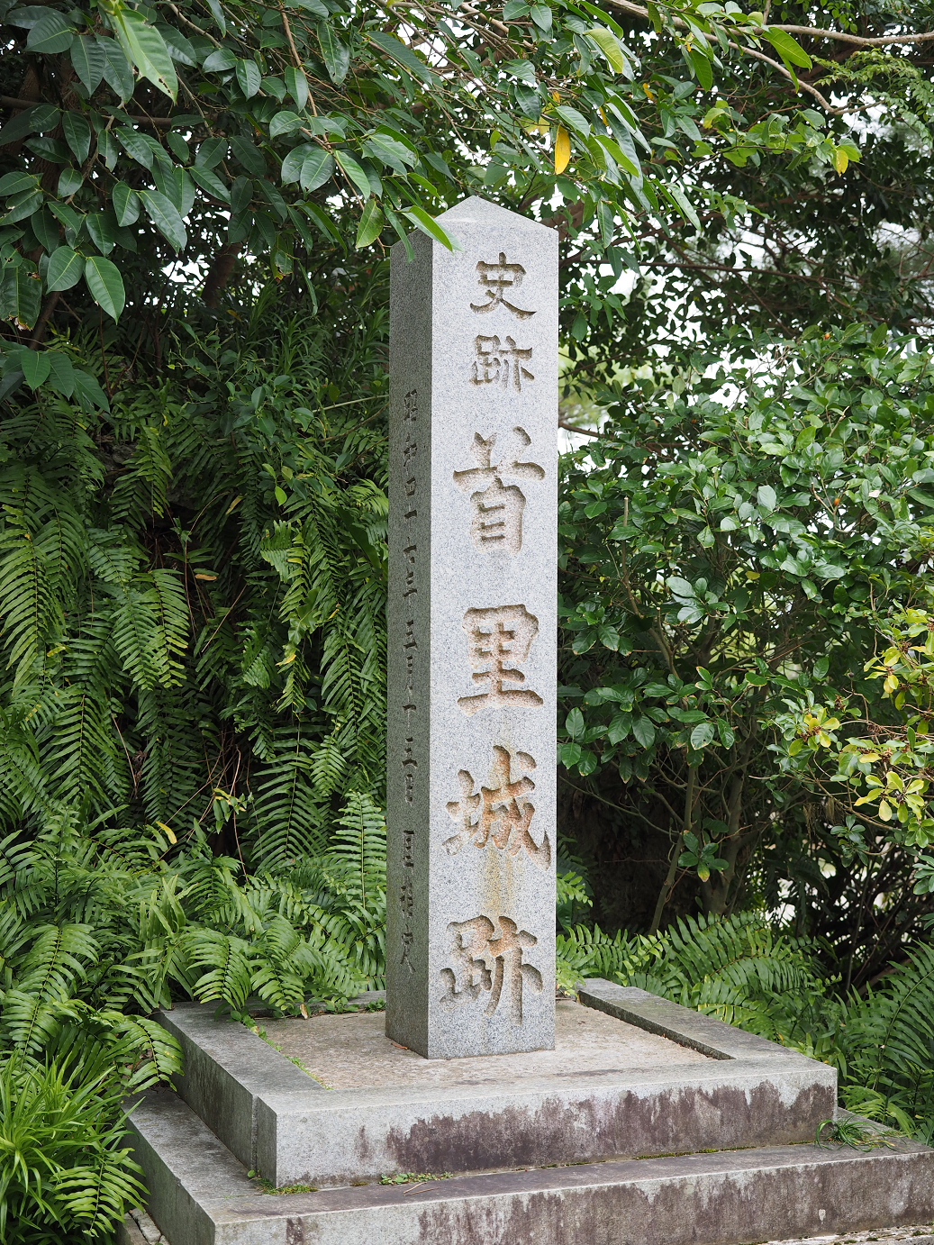 P1180083.jpg