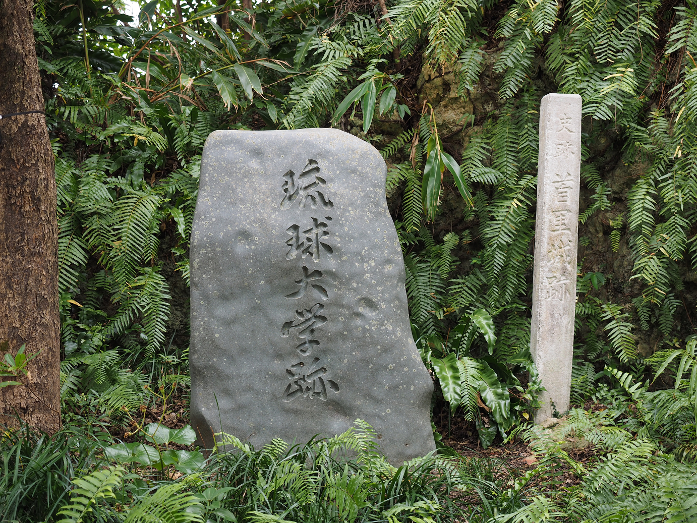 P1180084.jpg