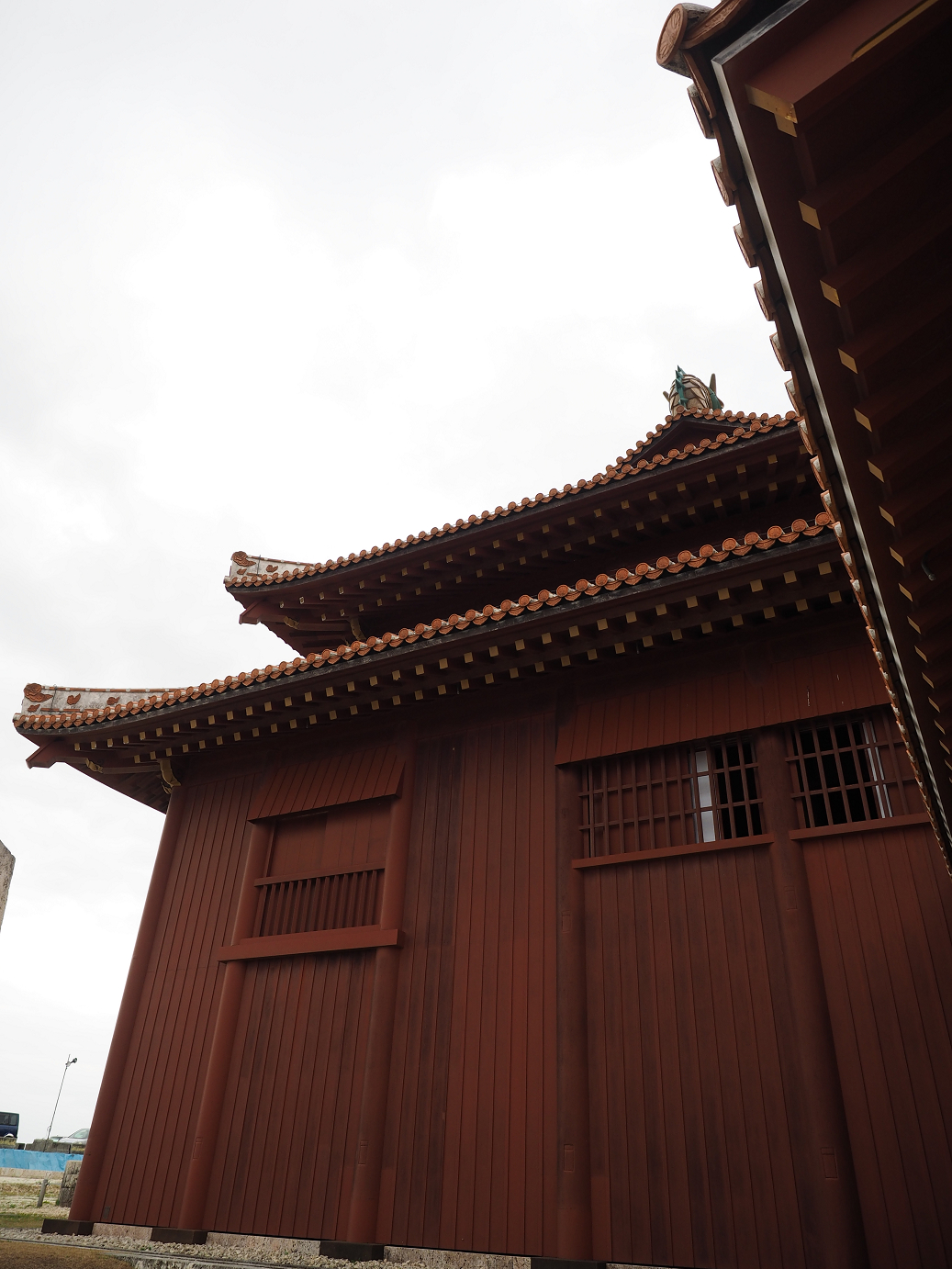 P1180127.jpg