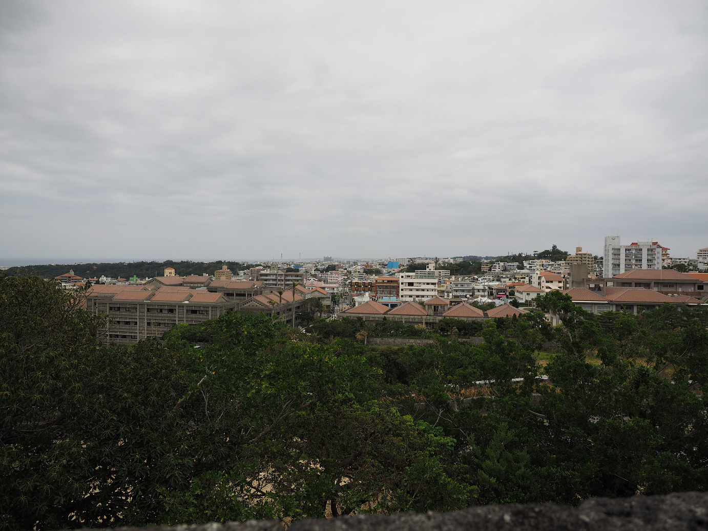 P1180146.jpg