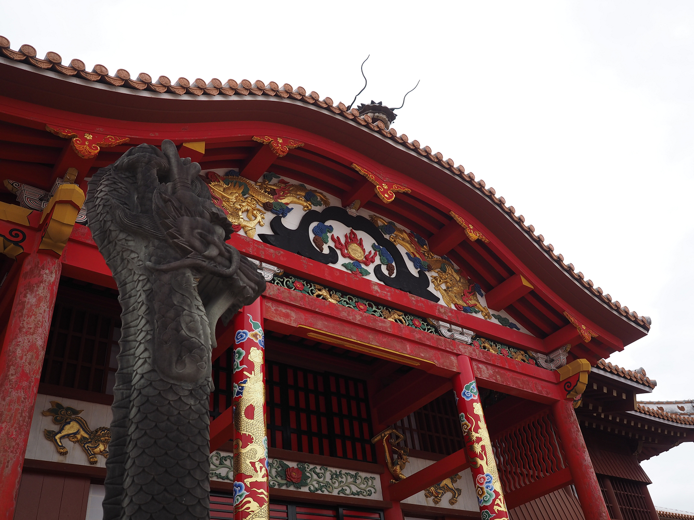 P1180157.jpg