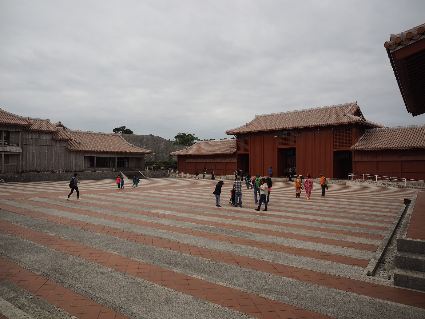 P1180164.jpg