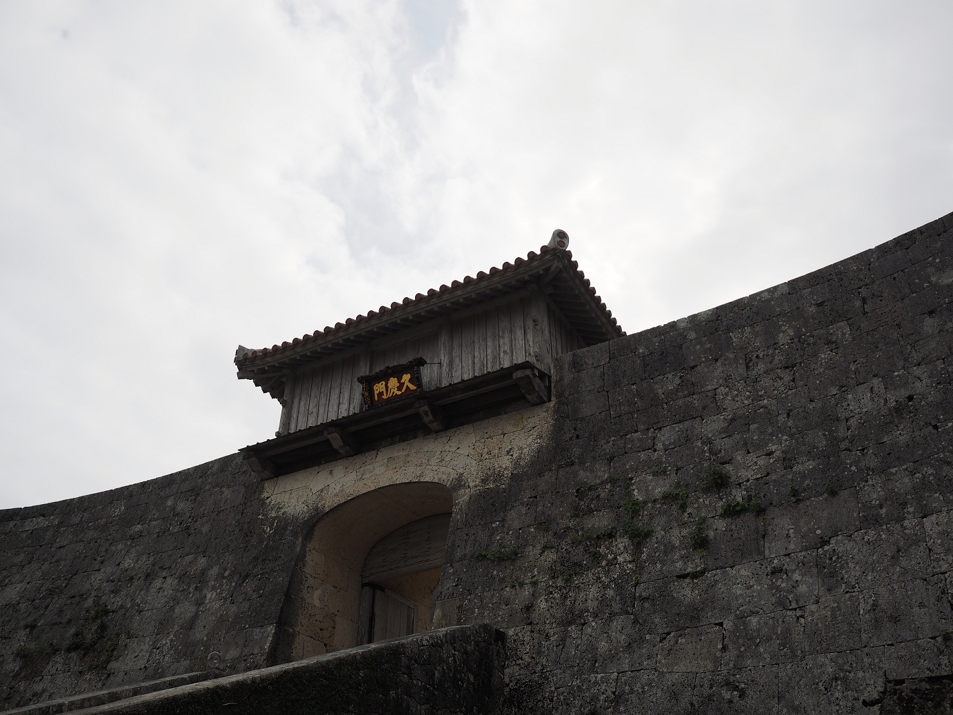 P1180175.jpg