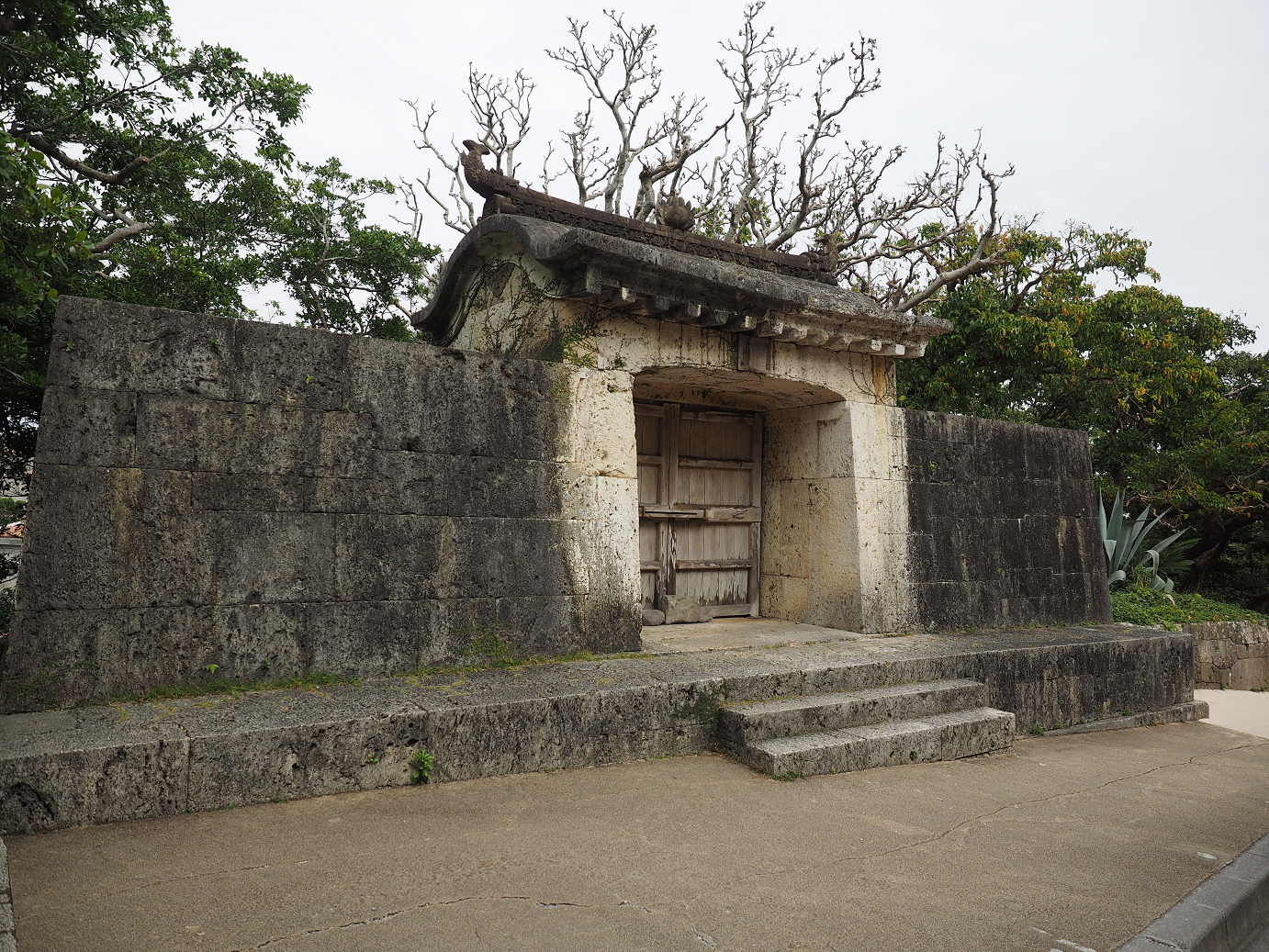 P1180184.jpg