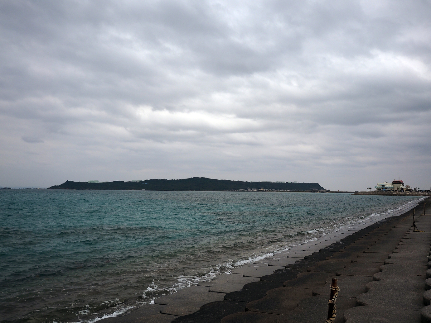 P1180189.jpg