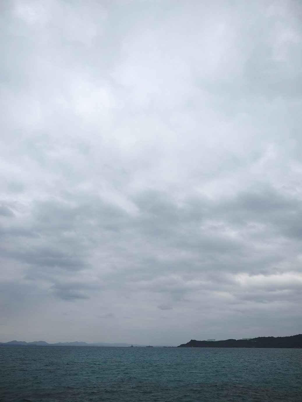 P1180191.jpg