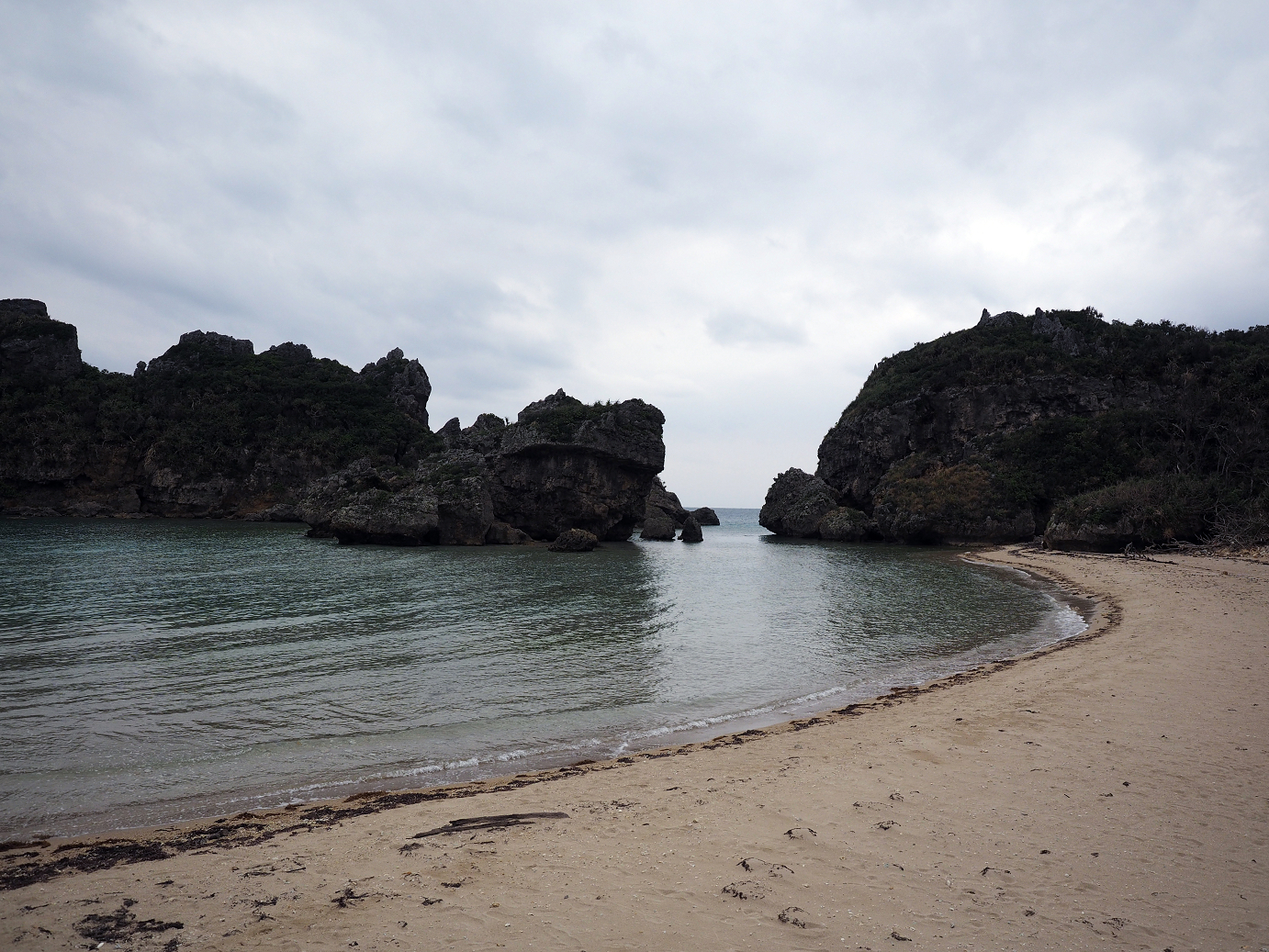 P1180195.jpg