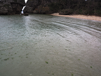 P1180201_thumb.png