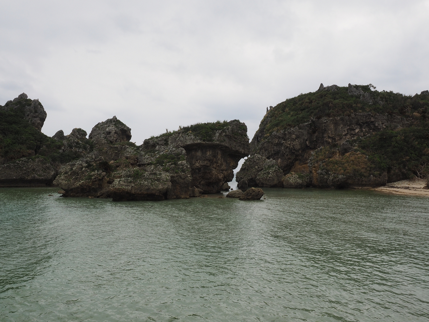 P1180202.jpg
