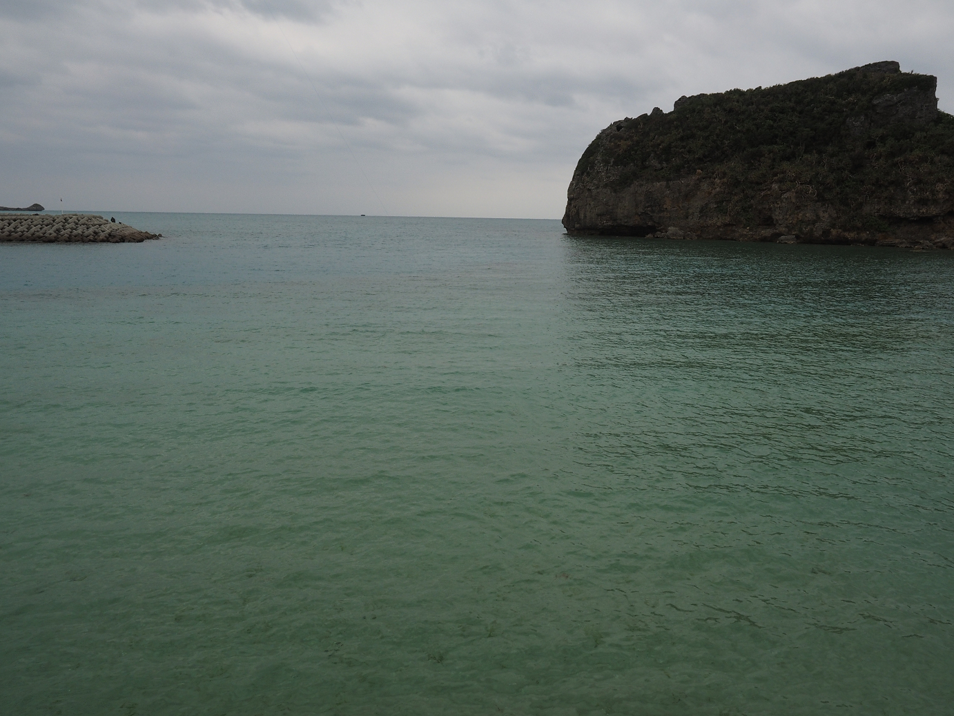 P1180203.jpg