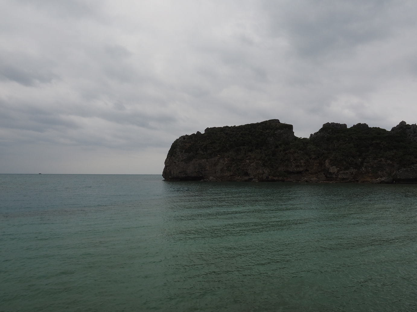P1180204.jpg
